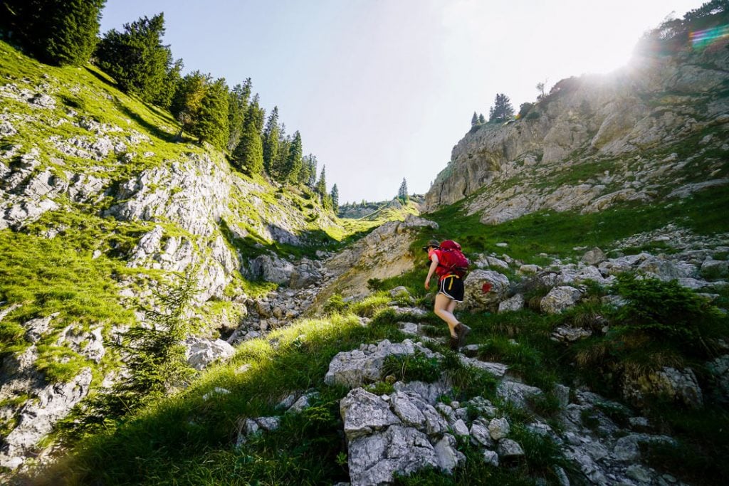 Ammerwaldalm to Weitalpjoch hike, Bavaria, Germany