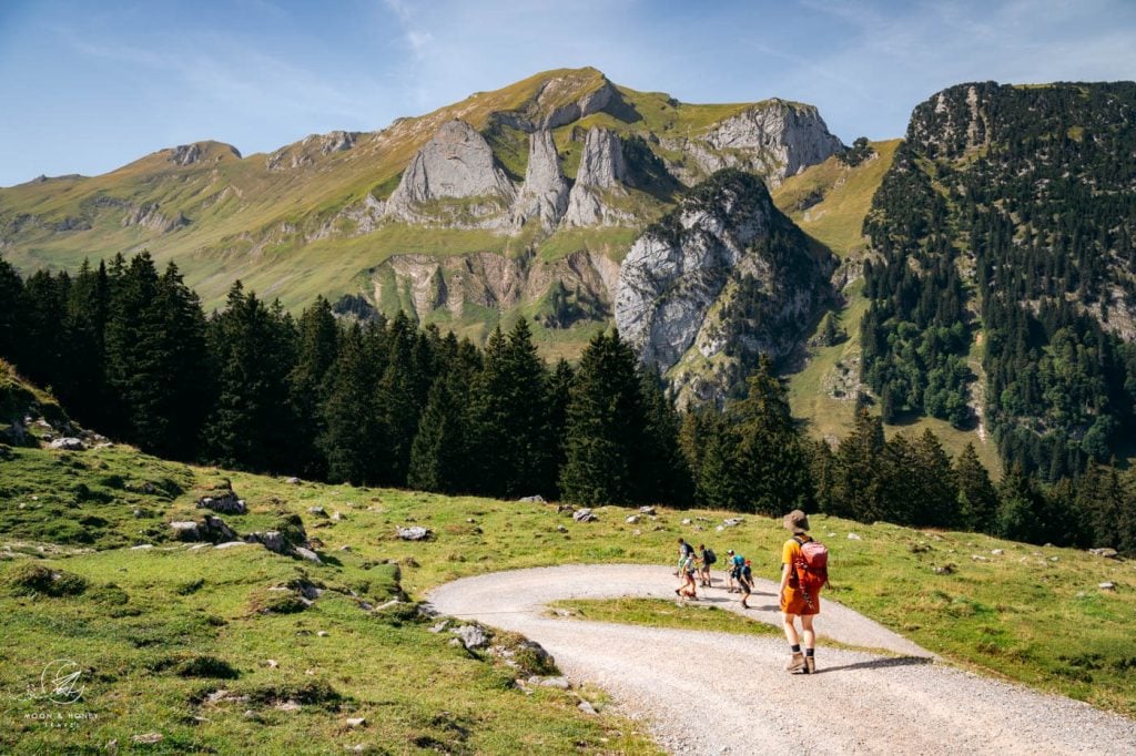 Berggasthaus Bollenwees to Plattenbödeli farm road, Alpstein, Switzerland