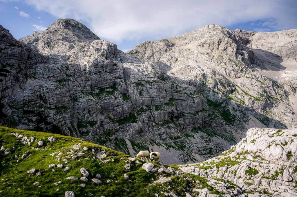 Kriških podih, Julian Alps