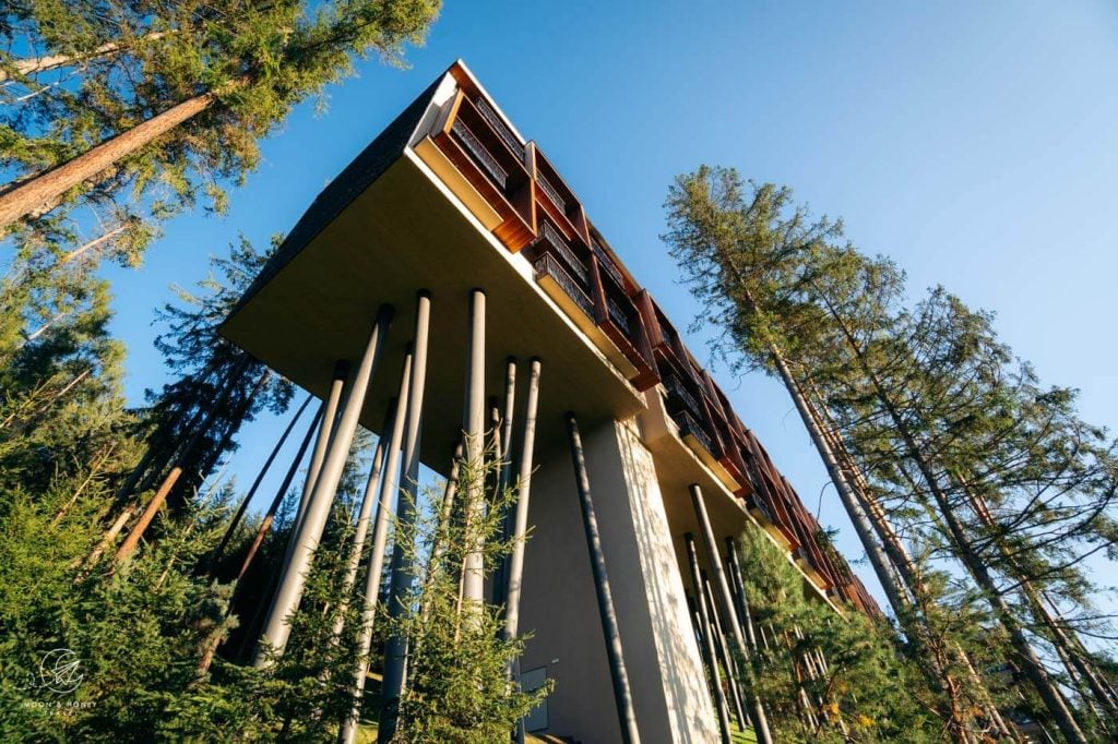 My Arbor: Tree Hotel on Stilts, South Tyrol Wellness Hotel, Italy