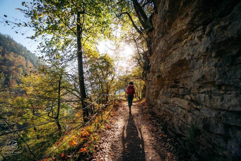 Red Trail Vintgar - Blejska Dobrava, Slovenia